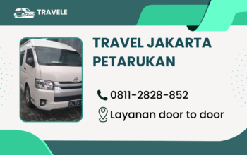 Travel Jakarta Petarukan