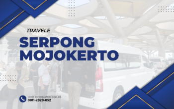 Travel Serpong Mojokerto , Agen travel Serpong Mojokerto , Tiket travel Serpong Mojokerto , Jadwal Travel Serpong Mojokerto , Rute Travel Serpong Mojokerto , Harga Travel Serpong Mojokerto ,