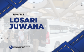 Travel Losari Juwana , Agen travel Losari Juwana , Tiket travel Losari Juwana , Jadwal Travel Losari Juwana , Rute Travel Losari Juwana , Harga Travel Losari Juwana ,