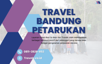 Agen Travel Bandung Petarukan , Tiket Travel Bandung Petarukan , Jadwal Travel Bandung Petarukan , Rute Travel Bandung Petarukan , Harga Travel Bandung Petarukan , Travel Bandung Petarukan ,