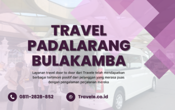 Agen Travel Padalarang Bulakamba , Tiket Travel Padalarang Bulakamba , Jadwal Travel Padalarang Bulakamba , Rute Travel Padalarang Bulakamba , Harga Travel Padalarang Bulakamba , Travel Padalarang Bulakamba ,